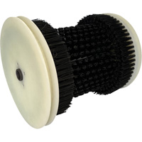 Refill Brush Oxymax Inc