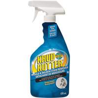 Mold and Mildew Spray, 650 ml, Trigger Bottle Oxymax Inc