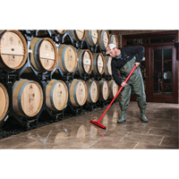 Raclette &agrave; t&ecirc;te fixe pour l'hygi&egrave;ne alimentaire, 20", Vert Oxymax Inc