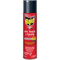 Insecticide contre fourmis, coquerelles et perce-oreilles Raid, 350 g, &agrave; base de solvant Oxymax Inc