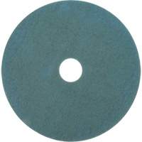 Tampon pour planchers, 17", Brunissage, Aqua Oxymax Inc