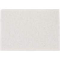 Tampon pour planchers TopLine Speed, 14" x 20", Lustrage/Nettoyage/Polissage, Blanc Oxymax Inc