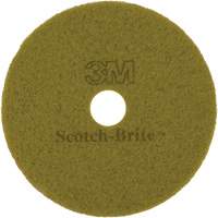 Tampon pour planchers TopLine Speed, 17", Brunissage, Brun Oxymax Inc