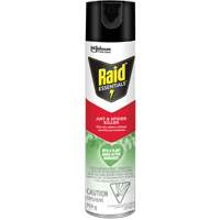 Raid&reg; Essentials Ant & Spider Killer, 350 g, Aerosol Can Oxymax Inc