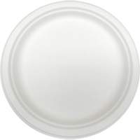 Molded Fiber Disposable Plates Oxymax Inc