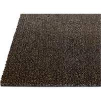 Palliser Indoor Matting, Wiper/Scraper, 3-1/2' x 6' x 5/16", Anglis Oxymax Inc
