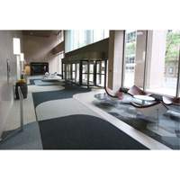 Supreme Knob Entrance Matting, Wiper/Scraper, 3-1/2' x 6' x 7/16", Charcoal Oxymax Inc