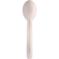 Bagasse Compostable Spoons Oxymax Inc