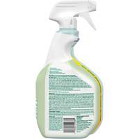 CloroxPro Clorox EcoClean Disinfecting Cleaner, 946 ml, Trigger Bottle Oxymax Inc
