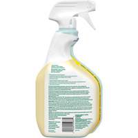 CloroxPro Clorox EcoClean All-Purpose Cleaner, 946 ml, Trigger Bottle Oxymax Inc