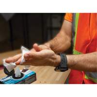 Individually Wrapped Cleaning Wipes, 12 Wipes, 8" x 9-1/2" Oxymax Inc