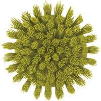 Brosse ronde HyDrive pour perceuse, Soies Tr&egrave;s ferme, Longueur de 3-1/10", Jaune Oxymax Inc