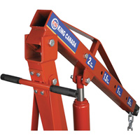 2-Ton Folding Shop Crane, 4000 lbs. (2 tons) Capacity Oxymax Inc