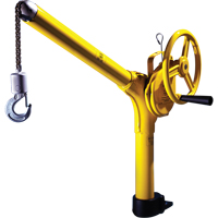Standard Industrial Lifting Device, 500 lbs. (0.25 tons) Capacity Oxymax Inc