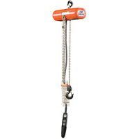 ShopStar Electric Hoists, 10' Lift, 250 lbs. (0.125 tons) Capacity, 16 FPM Oxymax Inc