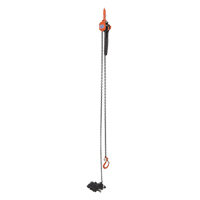 Mini Lever Hoist, 15' Lift, 1000 lbs. (0.5 tons) Capacity, Steel Chain Oxymax Inc