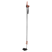 Mini Lever Hoist, 20' Lift, 1000 lbs. (0.5 tons) Capacity, Steel Chain Oxymax Inc