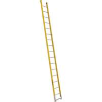 &eacute;chelle simple &agrave; une section - S&eacute;rie 6100, 16', Fibre de verre, 375 lb, CSA calibre 1AA Oxymax Inc