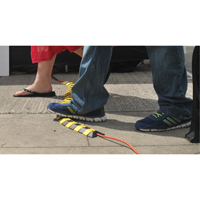 Syst&egrave;me de protection de c&acirc;bles Ultra-Sidewinder - petit , 13,125" x 3" x 0,75", 32000 lb (16 tonnes) Oxymax Inc