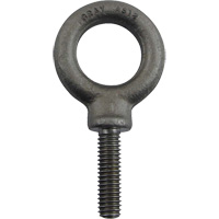 Alloy Steel Eye Bolt, 1" Dia., 1-1/4" L, 1480 lbs. (0.74 tons)/1480 lbs. Capacity Oxymax Inc