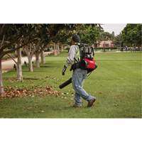M18 FUEL Dual Battery Backpack Blower Kit, 18 V, 155 MPH Output, Battery Powered Oxymax Inc