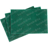 Tampons manuels Scotch-Brite, 9" lo x 6" la Oxymax Inc
