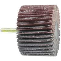 Disque &agrave; lamelles mont&eacute; sur mandrin, Grain 60, 1-1/2" x 1/4" Oxymax Inc