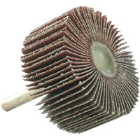 Disque &agrave; lamelles mont&eacute;, Grain 60, 2" x 1" x 1/4" Oxymax Inc