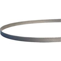 Master-Band&reg; Portable Band Saw Blades, Bi-Metal, 18 TPI, 44-7/8" L x 1/2" W Oxymax Inc