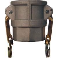 Global Cam & Groove Coupler, Aluminum, Type D, 2", Female NPT, 250 PSI Oxymax Inc