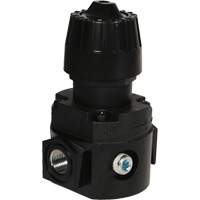 R&eacute;gulateur compact R16 Wilkerson, 1/4" NPT, PSI max. de 300 psi, Standard Oxymax Inc