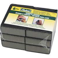 Wet and Dry Sanding Sponges NU161 | Oxymax Inc