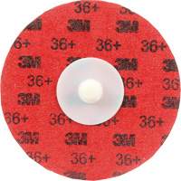 Disque &agrave; d&eacute;ligner durable II Roloc Cubitron, 3" dia., Grain 36+, C&eacute;ramique Oxymax Inc