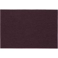 Tampons manuels Bear-Tex, Oxyde d'aluminium, 6" x 9", Grain Tr&egrave;s fin Oxymax Inc