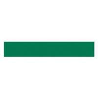 Write-On Magnetic Label, Magnetic, 600" L x 1" W Oxymax Inc