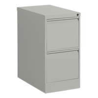 Vertical Filing Cabinet, Steel, 2 Drawers, 15-1/7" W x 25" D x 29" H, Grey Oxymax Inc