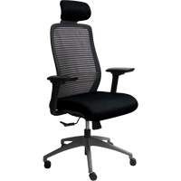 Chaise de bureau ajustable série Era<sup>MC</sup> avec appui-tête, Tissu/Mailles, Noir, Capacité 250 lb OQ968 | Oxymax Inc