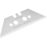 Replacement Blade, Single Style PG068 | Oxymax Inc