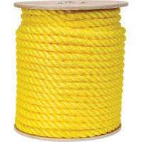Corde jaune tress&eacute;e, Polypropyl&egrave;ne, 300' Oxymax Inc