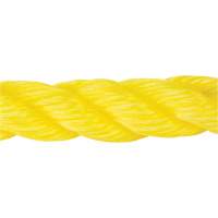 Corde jaune tress&eacute;e, Polypropyl&egrave;ne, 300' Oxymax Inc
