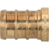 Capuchon de tuyau sans plomb, Tuyau, 1/2" dia., Laiton Oxymax Inc
