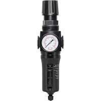 Filtre/r&eacute;gulateur drain manuel avec bol en m&eacute;tal Modulair 300, 1/4" NPT, 250 PSI, Capacit&eacute; de 5,1 oz liq. Oxymax Inc