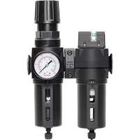 Filtre/r&eacute;gulateur + filtre coalescent drain manuel avec bol standard Modulair 300, 1/4" NPT, 150 psi, Capacit&eacute; de 5,1 oz liq. Oxymax Inc