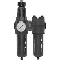 Filtre/d&eacute;tendeur & filtre coalescent Modulair 400 avec bol standard & drain manuel, 3/4" NPTF, 150 psi, Capacit&eacute; de 9,13 oz liq. Oxymax Inc