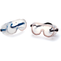 22 Series Safety Goggles, Clear Lens, Direct Vent Oxymax Inc