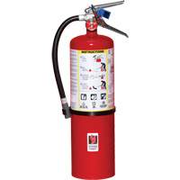 Extincteur d'incendie, ABC, Capacité 10 lb SA443 | Oxymax Inc