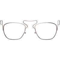 Eyewear Parts & Accessories