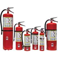Extincteur d'incendie, ABC, Capacité 30 lb SED110 | Oxymax Inc