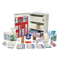 Workplace Deluxe First Aid Kits, Class 1 Medical Device, Metal Box Oxymax Inc