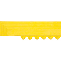 Rampe de bordure pour tapis Oxymax Inc